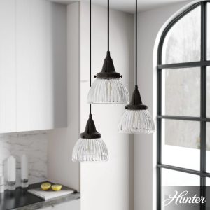 Hunter - Cypress Grove 3-light Onyx Bengal, Medium Size Cluster Light, Dimmable, Transitional Style, Round Shaped, for Bedrooms, Dining, Living Rooms - 19183