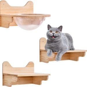 Wall-Mounted Wooden Cat Space Clear Capsule Cat Bed,  Cat Shelf Wall Mounted Floating Cat Shelf for Cat Perching Sleeping Lounging,  Transparent Cat House Cat Toy Cat Furniture