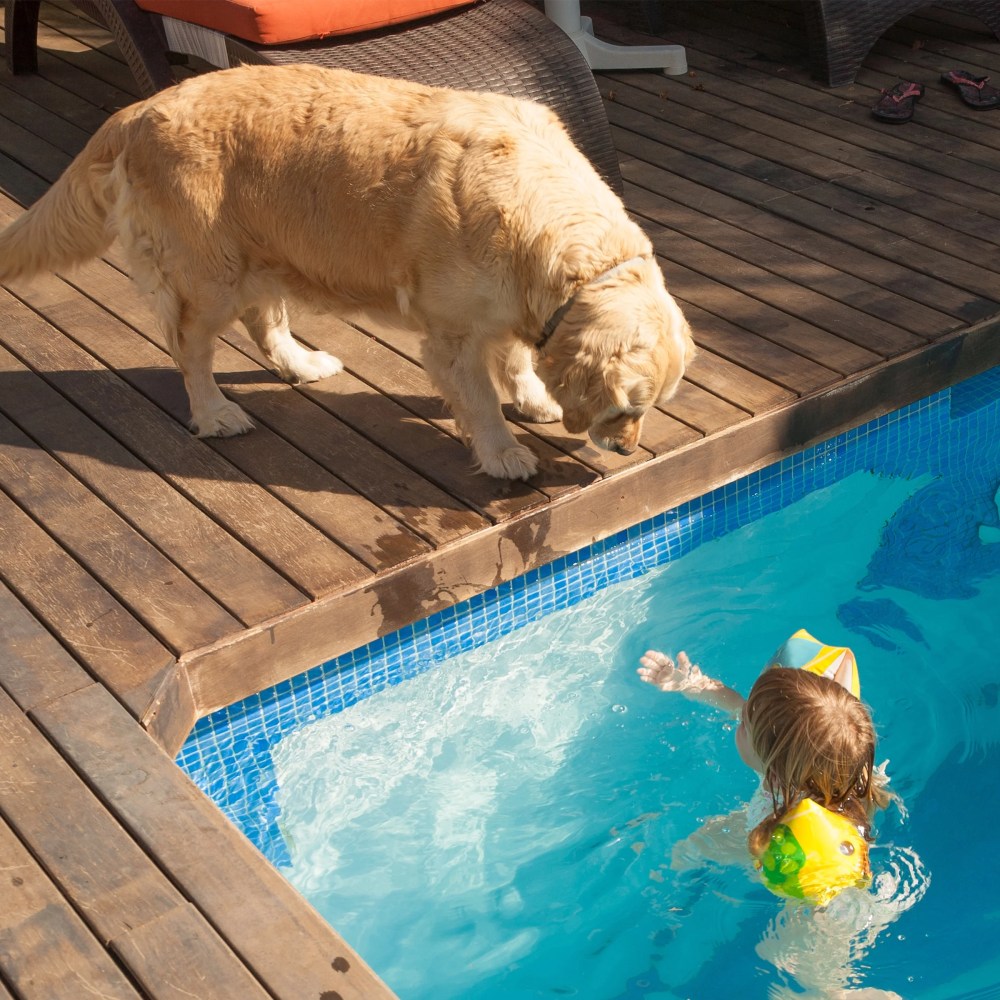 Waterproof Memory Foam Pet Bed- Indoor/Outdoor Dog Bed with Water Resistant Non Slip Bottom and Removeable Washable Cover, 36 x 27 by PETMAKER -Brown - Image 7