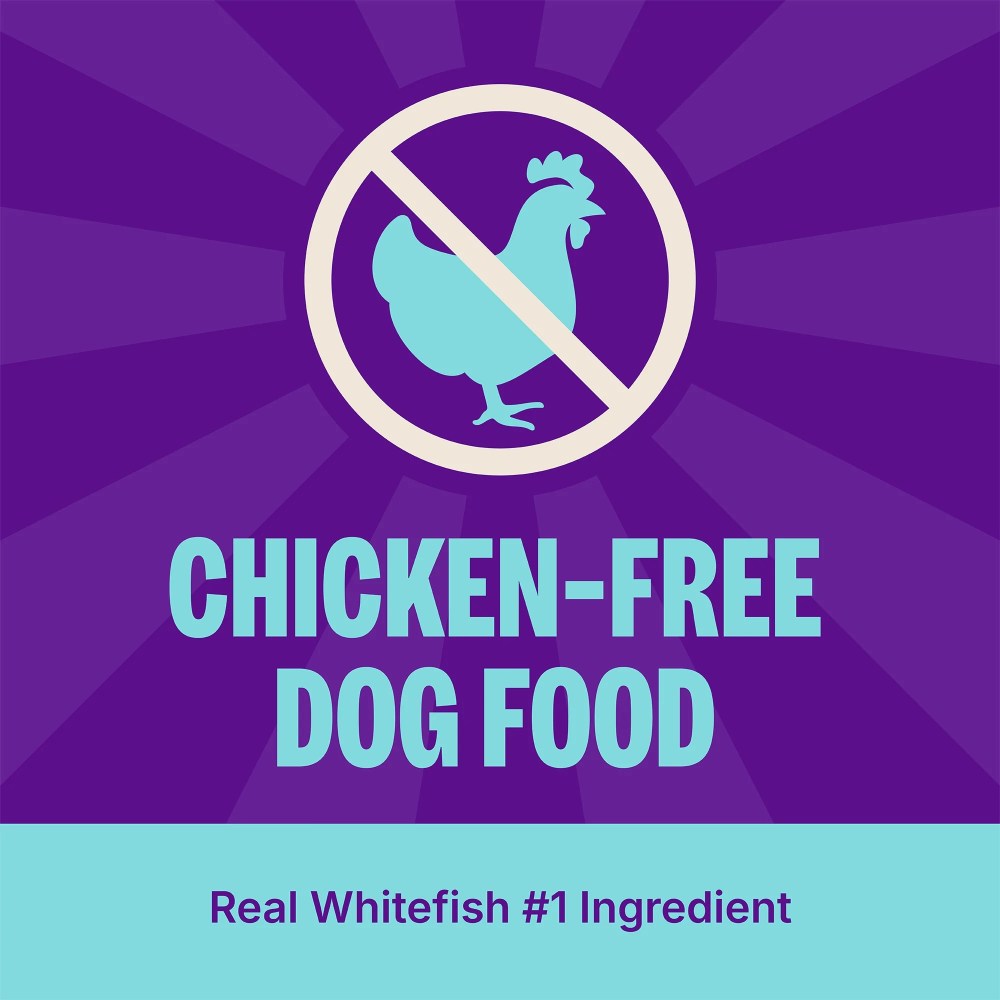 Wellness CORE Dry Dog Food, Grain Free, High Protein, Natural, Ocean Whitefish, Herring, & Salmon Recipe, (26-Pound Bag) - Image 6