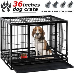 Bestpet 36" Dog Crate Cage with Plastic Tray, Double Doors and Locks for Large Dogs, Heavy Duty