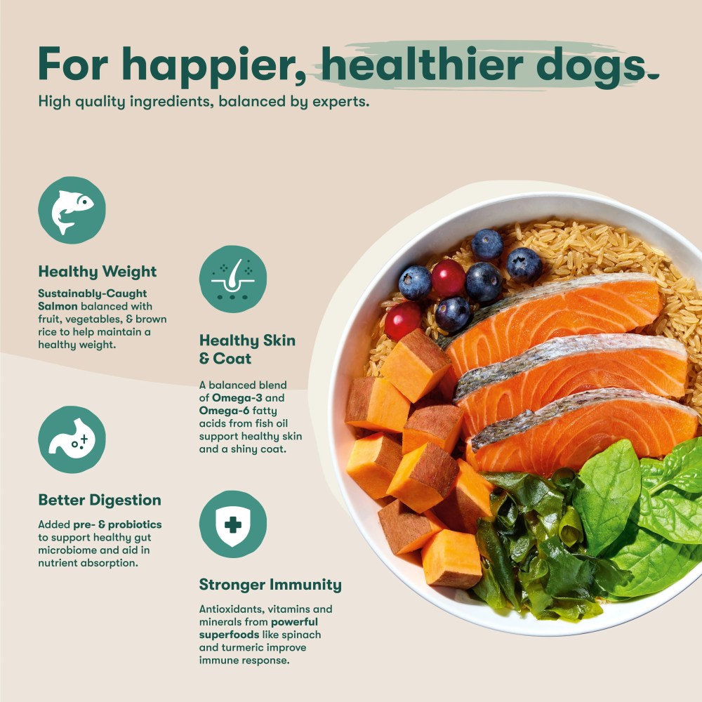 Jinx Salmon, Brown Rice, & Sweet Potato Dry Dog Food, 30lb. Bag - Image 7