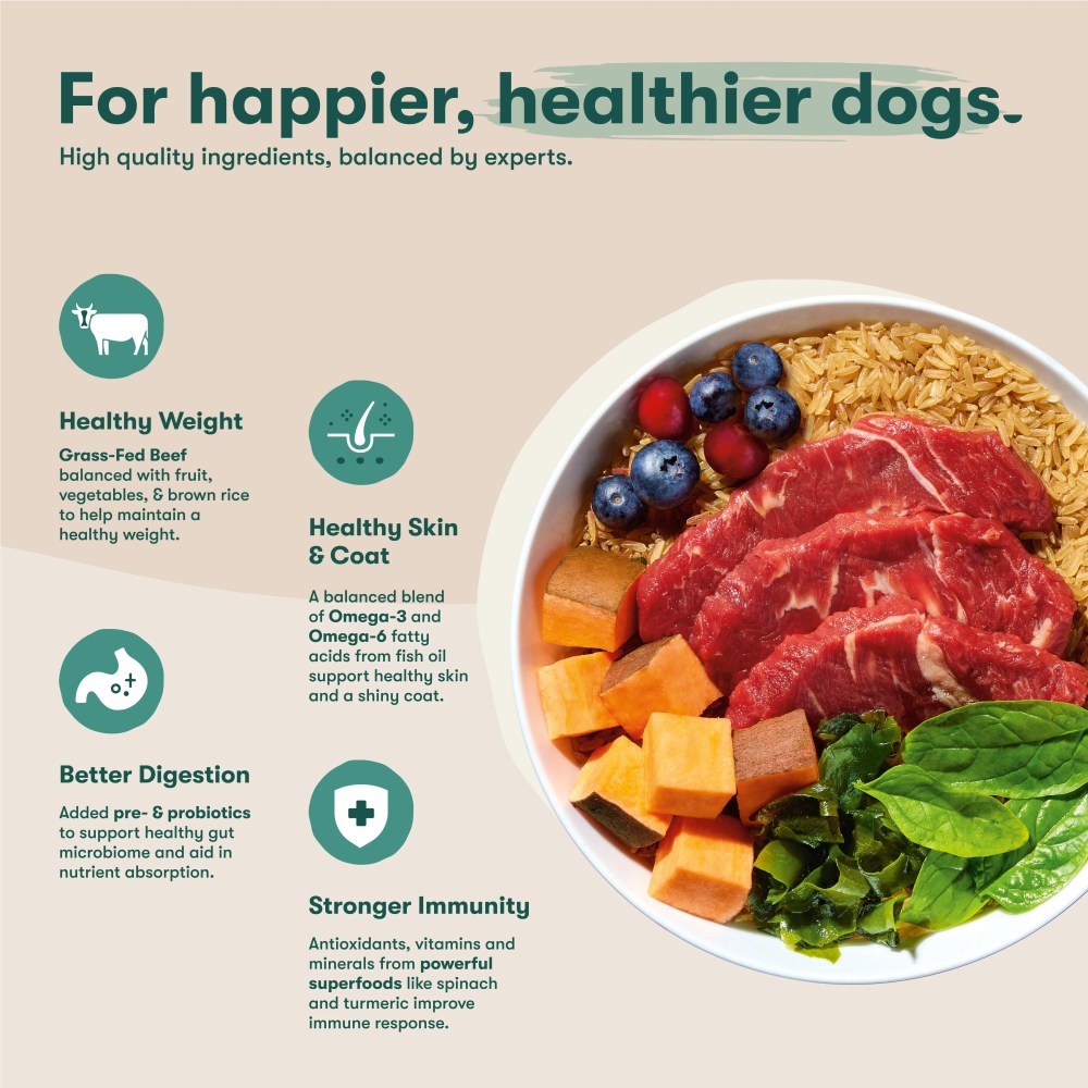 Jinx Beef, Brown Rice, & Sweet Potato Dry Dog Food, 30lb Bag - Image 10