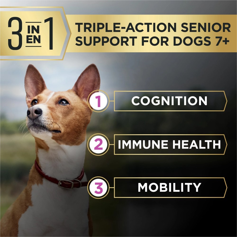 Purina Pro Plan AdvantEDGE Senior Support Plus Small Breed Shredded Blend Chicken and Rice Formula Dry Dog Food, 12 lb Bag - Image 7