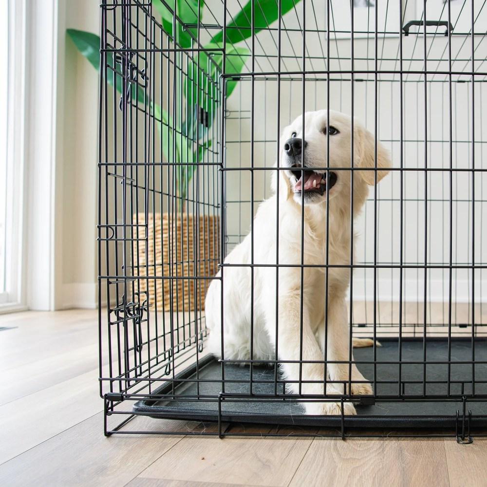 Carlson Pet Products Double Door Wire Crate with Divider, Large 42" - Image 9