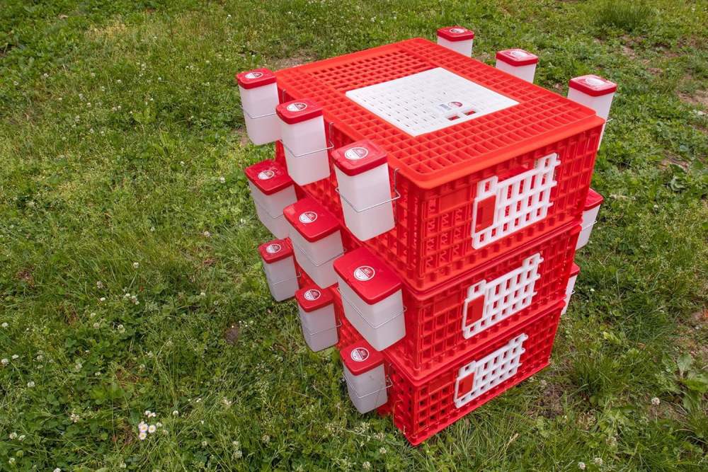 RentACoop Poultry Carrier Crate for Chickens, 29" x 22" x 12", New - Image 3