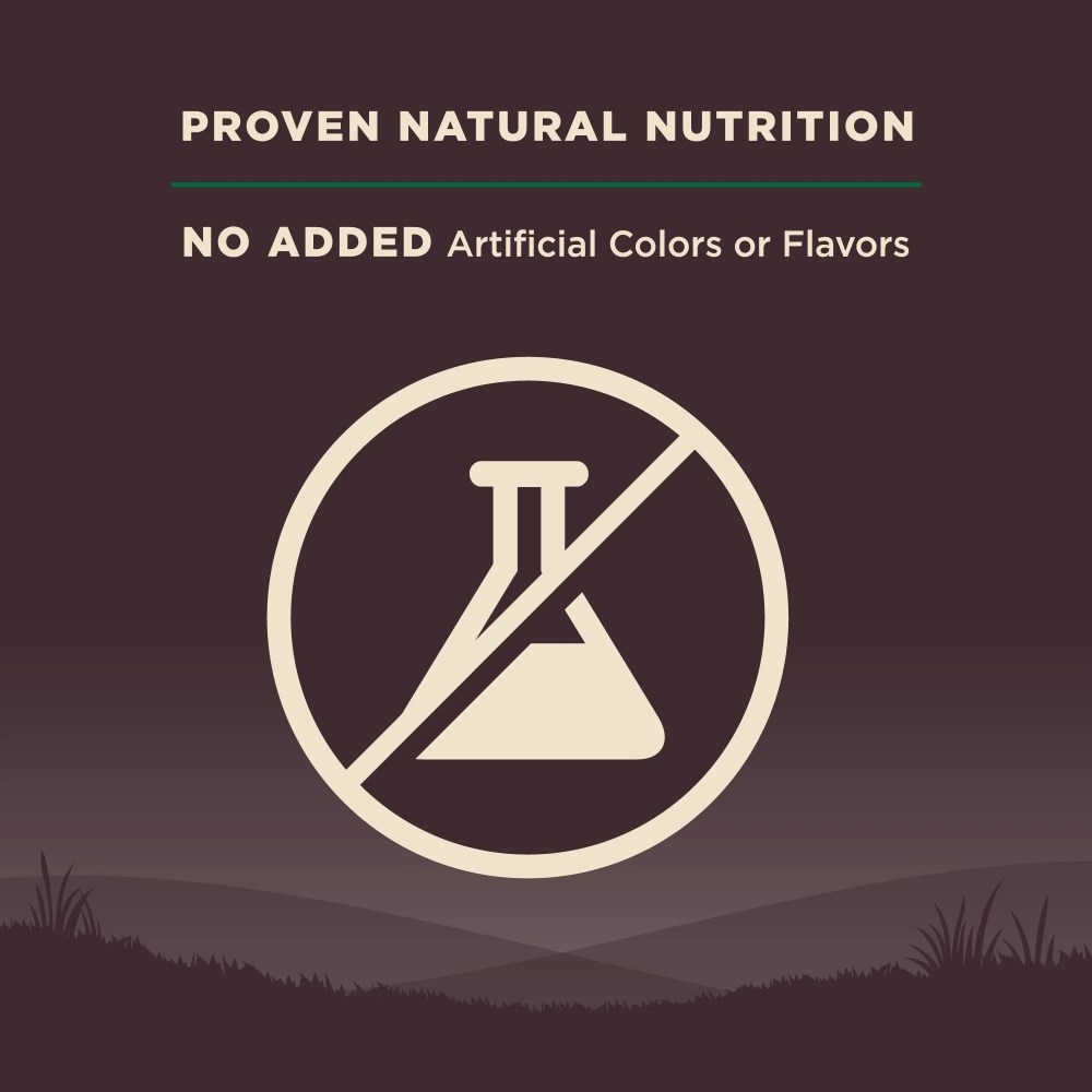 Wellness CORE Dry Dog Food, Grain Free, High Protein, Natural, Lamb Recipe, (22-Pound Bag) - Image 7