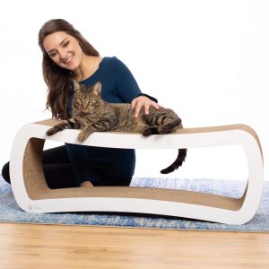 PetFusion Jumbo 2 level Cat Scratcher Lounge Scratch,  Play,  Perch,  and Hide Pet Furniture,  39" x 11" x 14",  White