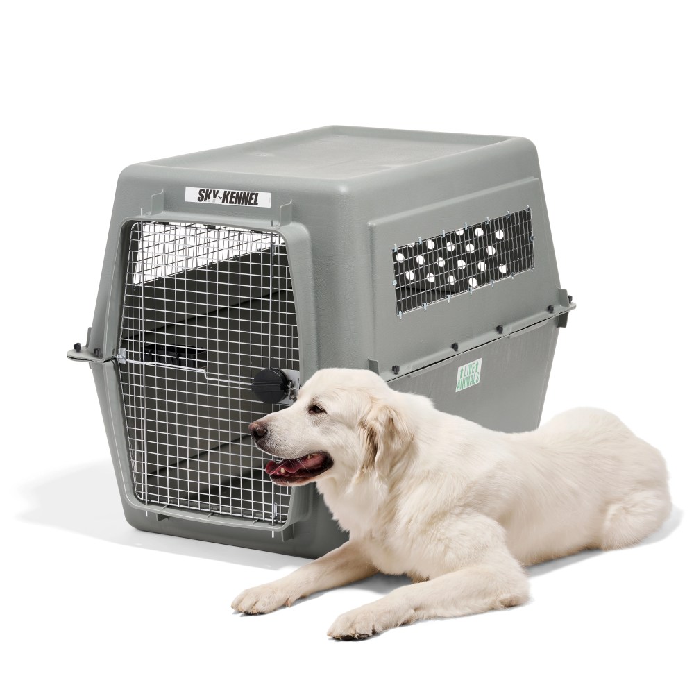 Petmate Sky Kennel for Dogs, IATA Approved, Plastic Travel Carrier, Gray, For Dogs 90-125 lbs, Jumbo Extra Extra Large, 48" x 32" x 48" - Image 4