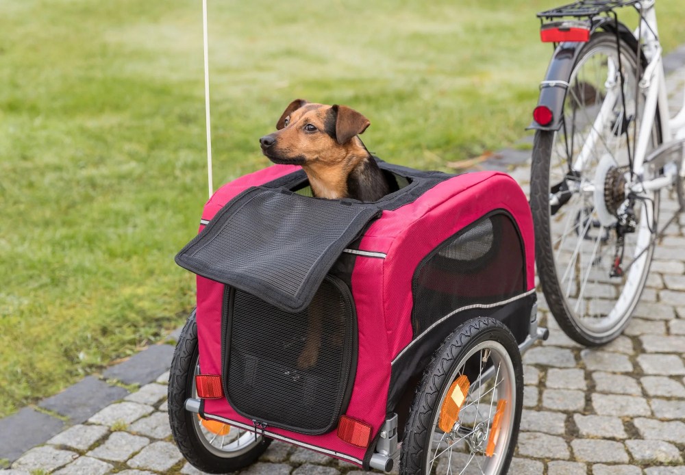 TRIXIE Foldable 2-in-1 Bicycle Trailer for Small Dogs with Windows & Large Door, Black & Red - Image 3
