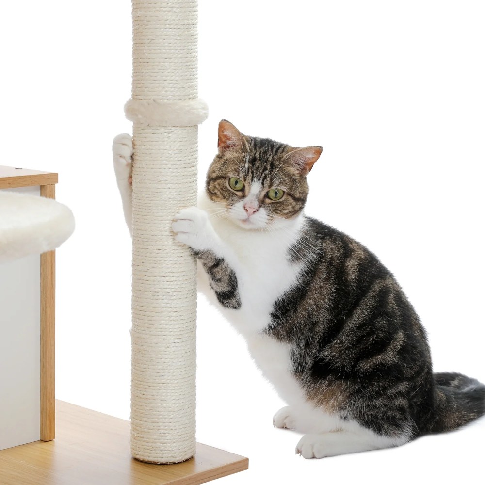 Pefilos 51" Wooden Cat Trees Towers for Large Cats with Cat Scratching Post and Removable Soft Perches Modern Cat Condo for Indoor, Beige - Image 8