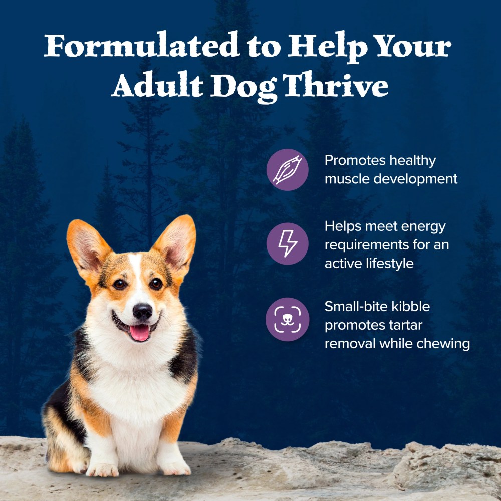 Blue Buffalo Wilderness Natural High-Protein, Small-Bite Dry Food for Adult Dogs, Chicken, 28-lb bag. - Image 9