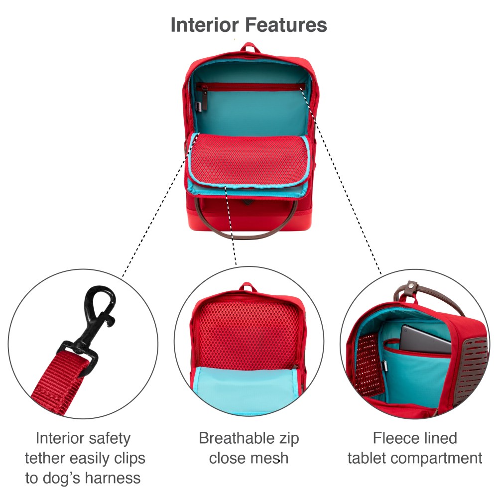 Kurgo Nomad Dog Carrier Backpack, Hiking Backpack for Small Dogs, Pet Travel Back Pack Carrier, Interior Safety Tether, Waterproof Bottom, Dual Carry Handles, Holds Pets Up to 15 lbs, Blue - Image 3