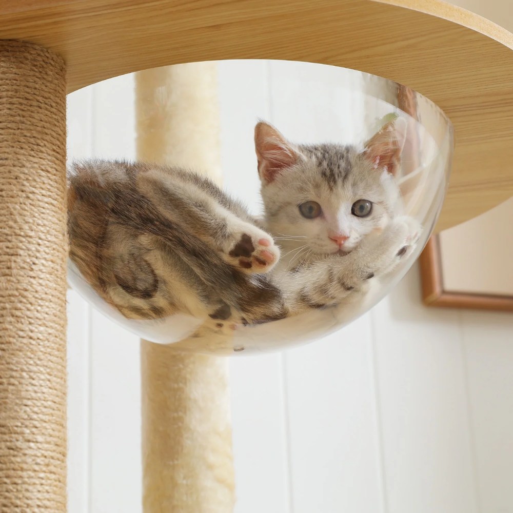 Pefilos 71" Wooden Cat Tree Tower for Multiple Cats, Modern Cat Tree House with Cat Condo for Indoor Cats, Beige - Image 2