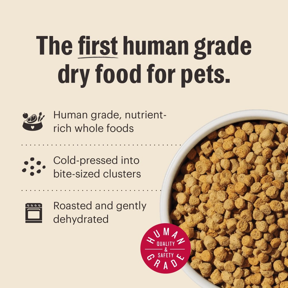 The Honest Kitchen Human Grade Dry Dog Food Whole Food Clusters Grain Free Chicken Dry Cat Food, 10 lb Bag - Image 4