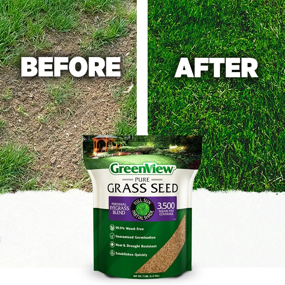 GreenView Pure Grass Seed Perennial Ryegrass Blend, 20 lb. Bag-Covers up to 10, 000 sq. ft. - Image 5