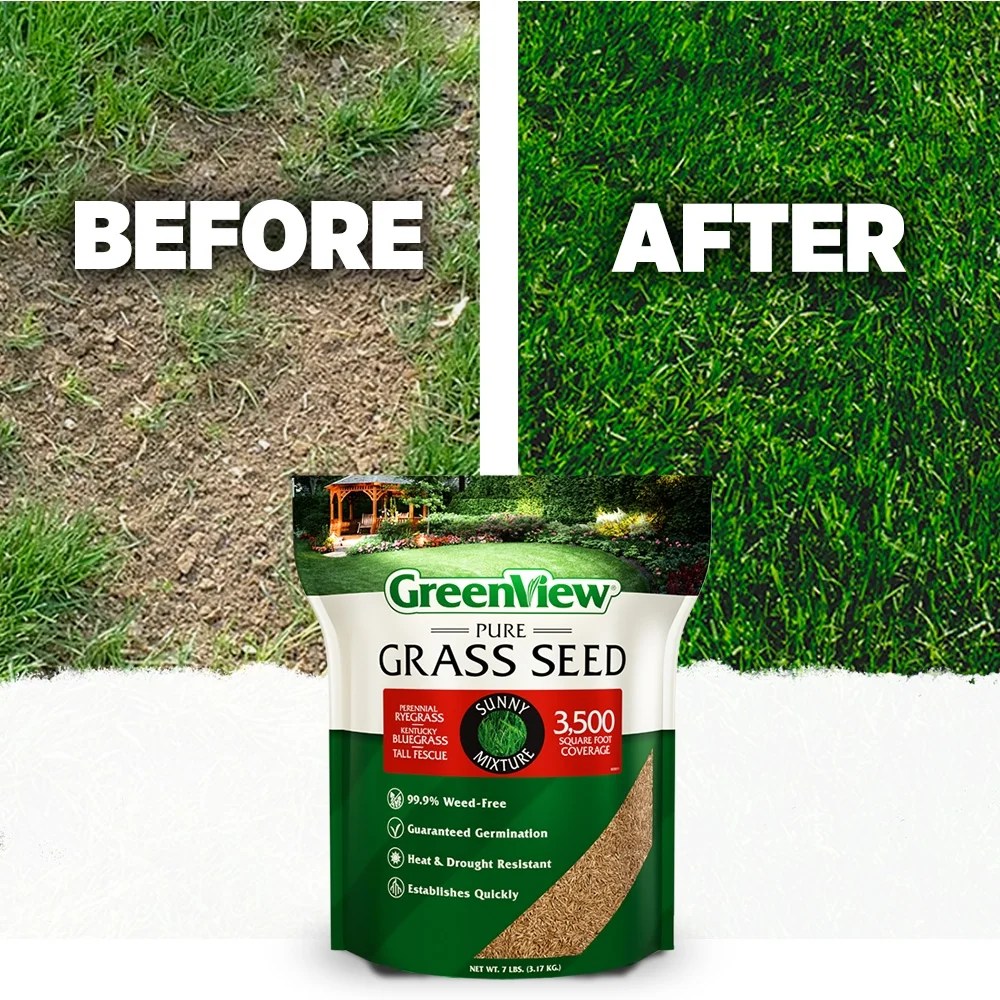 GreenView Pure Grass Seed Sunny Mixture, 20 lb. Bag-Covers up to 10, 000 sq. ft. - Image 5