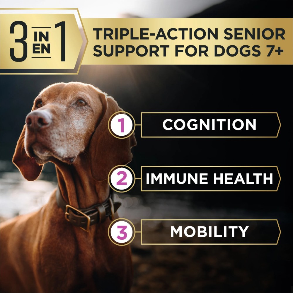 Purina Pro Plan AdvantEDGE Large Breed Senior Support Plus Chicken and Rice Formula Shredded Blend Dry Dog Food for Senior Dogs, 12 lb Bag - Image 6
