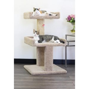 New Cat Condos Spacious Cat Perch for Large Cats