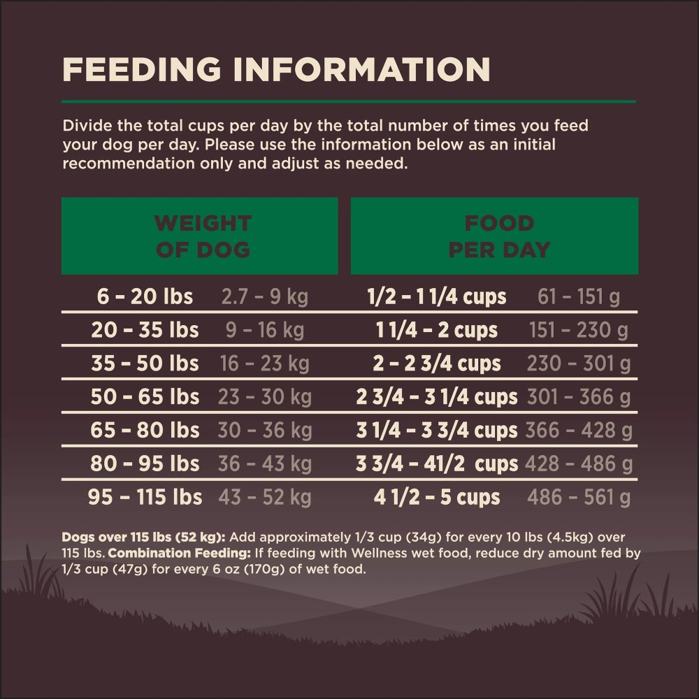 Wellness CORE Dry Dog Food, Grain Free, High Protein, Natural, Lamb Recipe, (22-Pound Bag) - Image 6