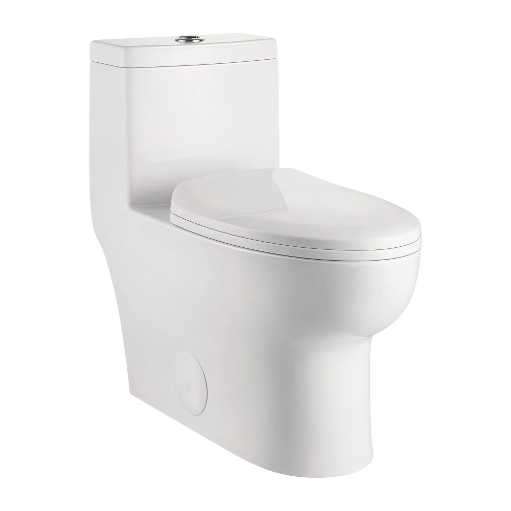 DeerValley Dual Flush Elongated 0.8/1.28GPF Water Efficient One-Piece Standard-Size Toilet (Seat Included) - Image 9