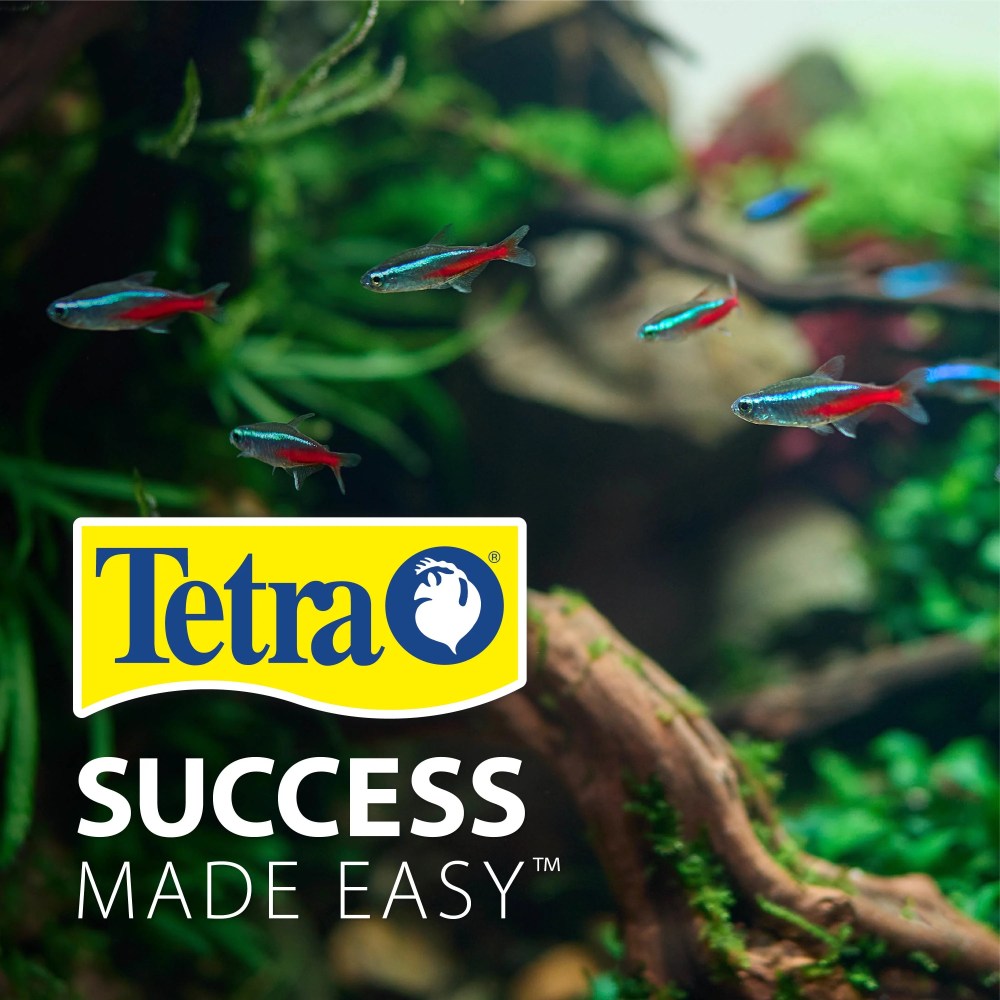 Tetra 10 Gallon Glass LED Aquarium Kit - Image 2