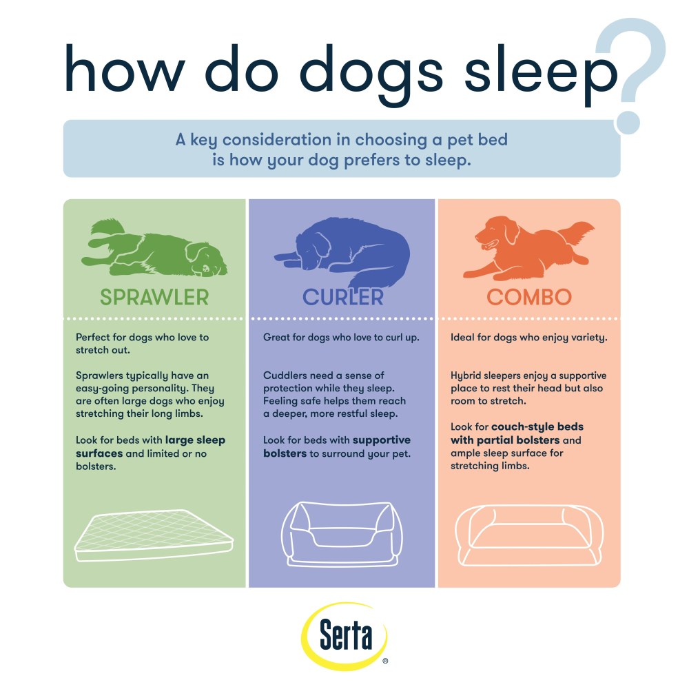 Serta, Extra Large, Quilted Gel Memory Foam Ortho Couch Pet Bed - Image 6