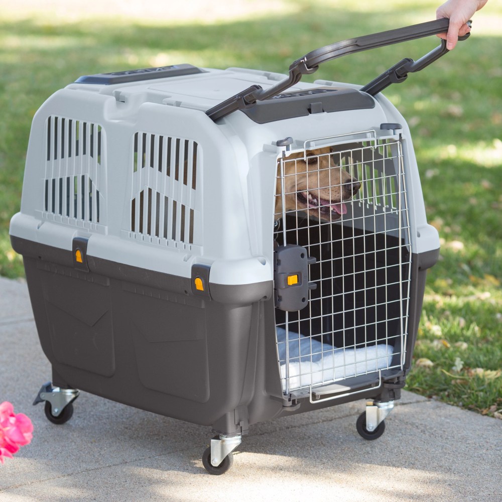 MidWest Homes for Pets Large Skudo Plastic Pet Carrier with Metal Grid Door, Gray, 25 lb Limit - Image 9