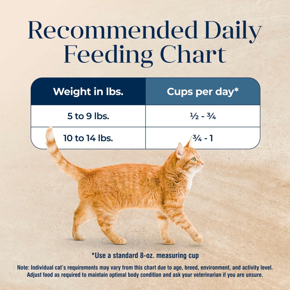 Blue Buffalo Basics Dry Cat Food Skin & Stomach, Turkey & Potato, Chicken Free, 11lb Bag - Image 5