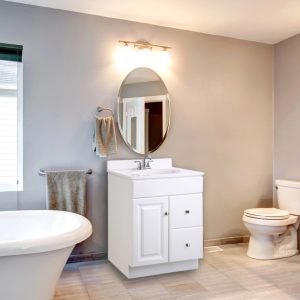 Design House Solid Wood 24" Wyndham 1-Door Ready to Assemble Bath Vanity Cabinet,  White
