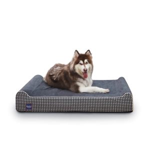 Laifug Extra Large Dog Bed with Orthopedic Memory Foam,  Dog Pillow,  Waterproof Liner & Washable Cover (Black, XL)