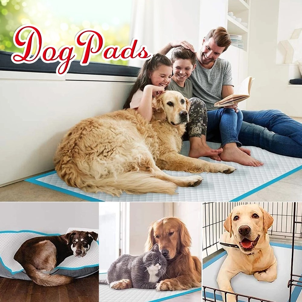 Tolobeve Dog Training Pads, XXL, 30 in x 36 in, 100 Count Disposable Dog Puppy Pee Pads - Image 6