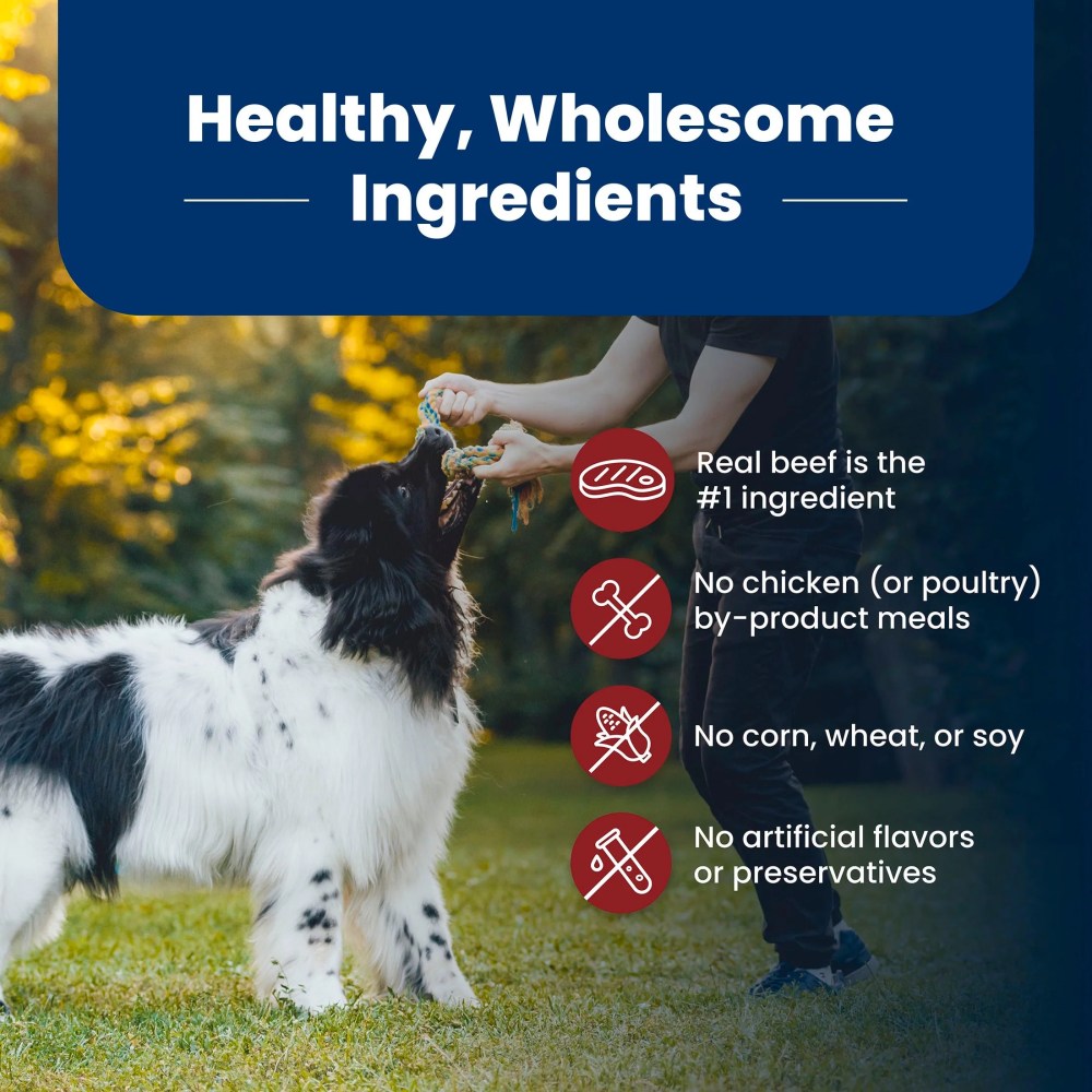 Blue Buffalo Life Protection Formula Adult Dry Dog Food, Beef & Brown Rice, 30lb Bag - Image 3