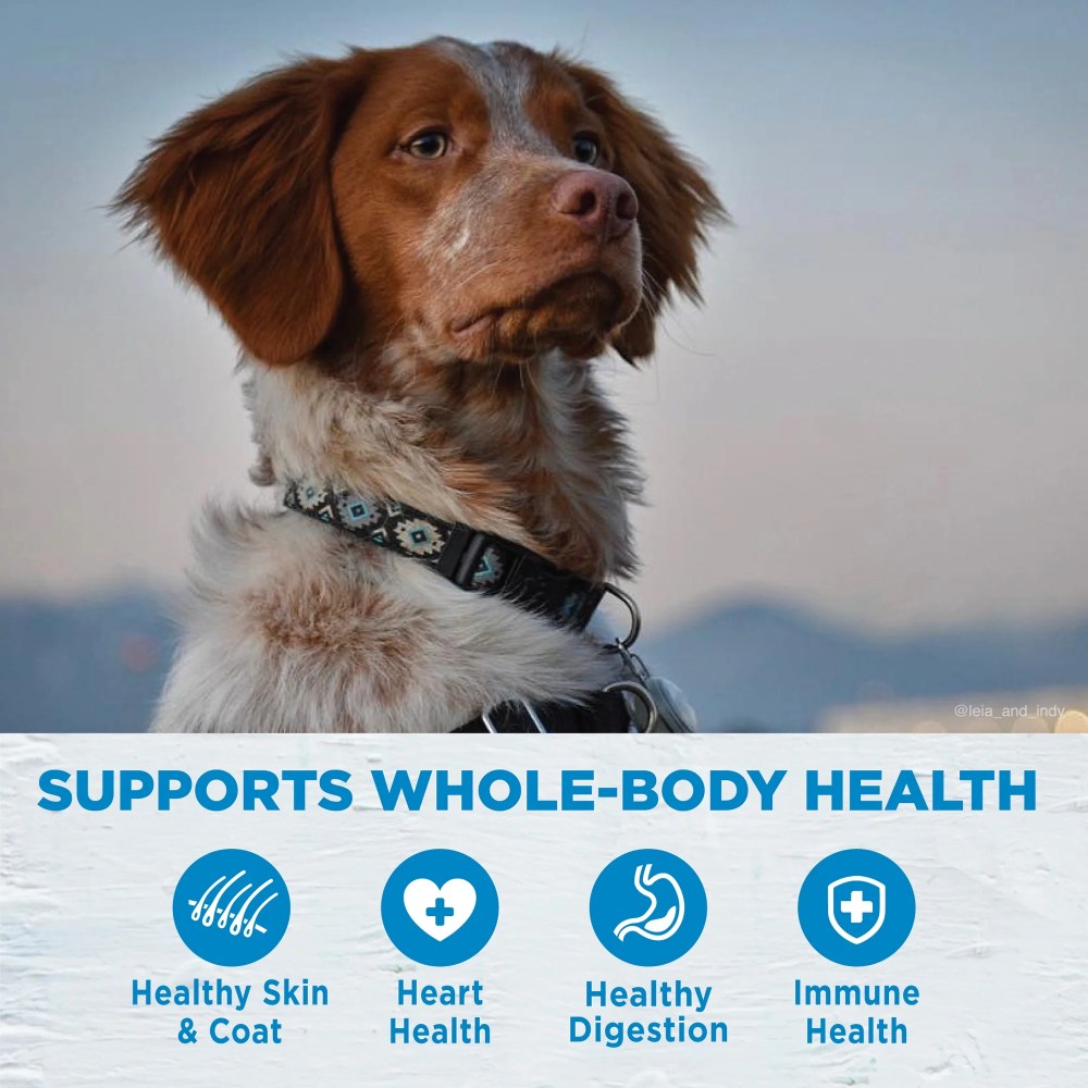 Wellness Simple Limited Ingredient Dry Dog Food for Sensitive Stomachs, Supports Skin & Coat, Wholesome Grains, Natural, Duck &Oatmeal Recipe, (26-Pound Bag) - Image 2