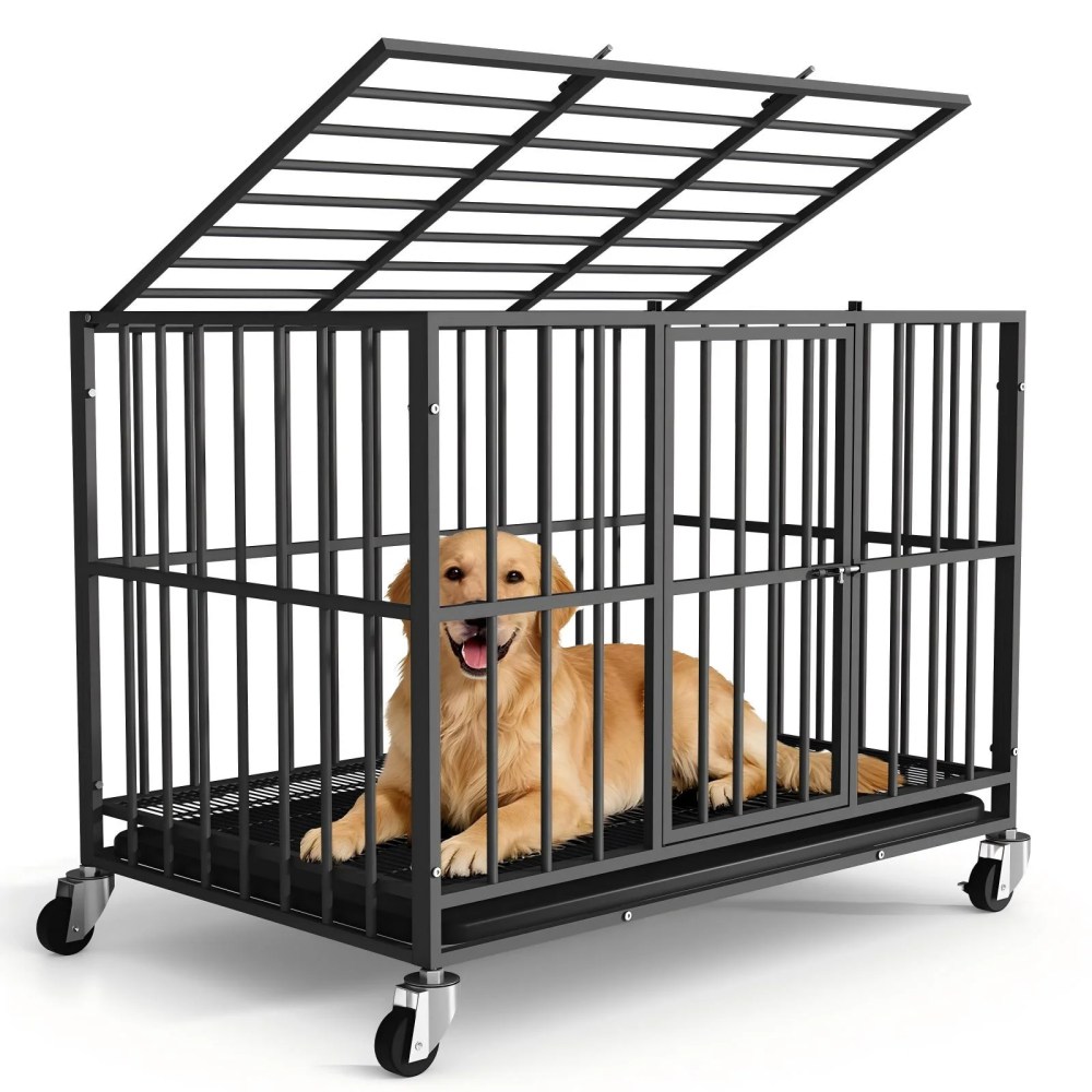 Time Ray 38 inch Dog Crate for Medium Dog with Steel Escape Proof, Heavy Duty Indestructible Dog Kennel with Double Doors, Lockable Wheels and Removable Tray, Black