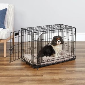 MidWest Homes for Pets 30-inch Two-Door iCrate Folding Dog Crate with Divider Panel,  Leak-Proof Tray & Secure Latches