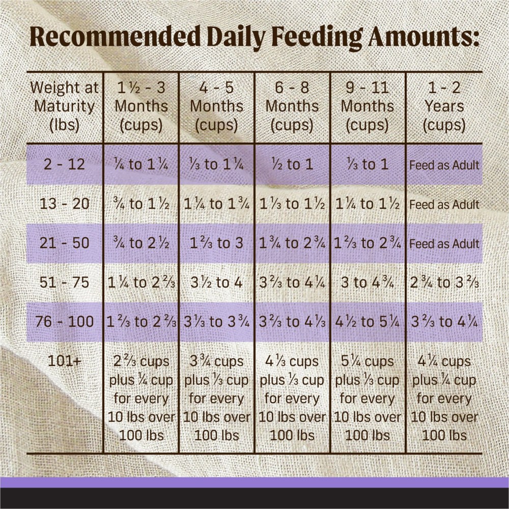 Merrick Backcountry Grain Free Dry Puppy Dog Food, Kibble With Freeze Dried Raw Pieces, Chicken Recipe, 20.0 lb. Bag - Image 10
