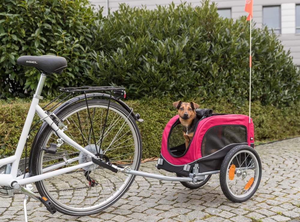 TRIXIE Foldable 2-in-1 Bicycle Trailer for Small Dogs with Windows & Large Door, Black & Red - Image 7