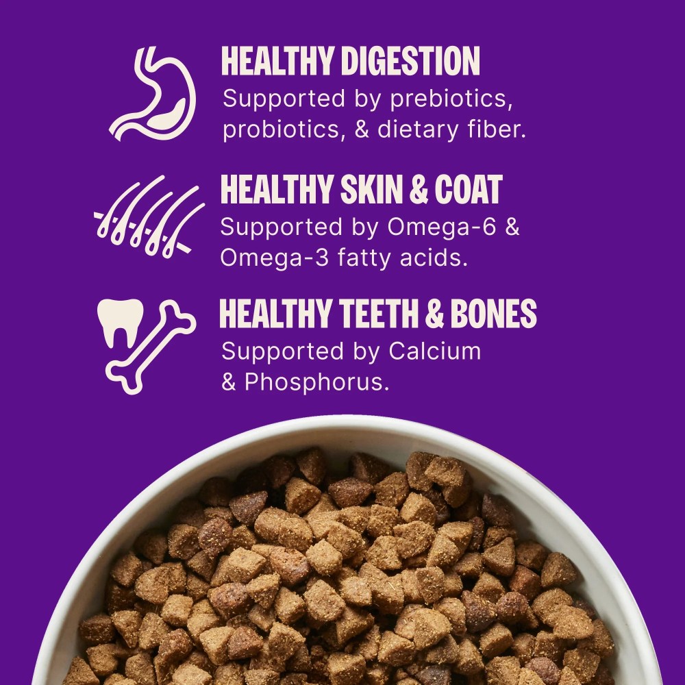Wellness Complete Health Dry Dog Food, Wholesome Grains, Natural, Lamb & Barley Recipe, (30-Pound Bag) - Image 5