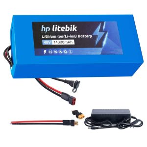 48v 14ah Bicycle Battery Lithium ion 1000W with 2A Charger