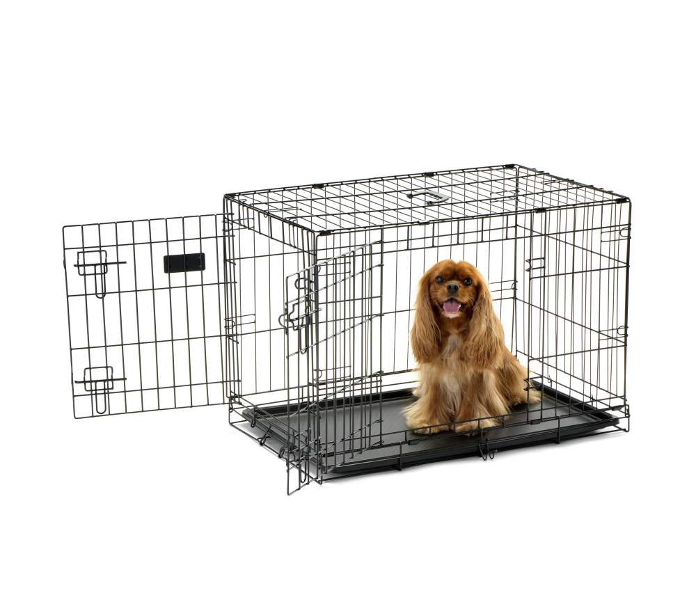 Carlson Secure Compact Double Door Metal Dog Crate, Medium Breeds Up to 45 Pounds, 30"L x 19"W x 22"H, Includes Divider Panel, Black