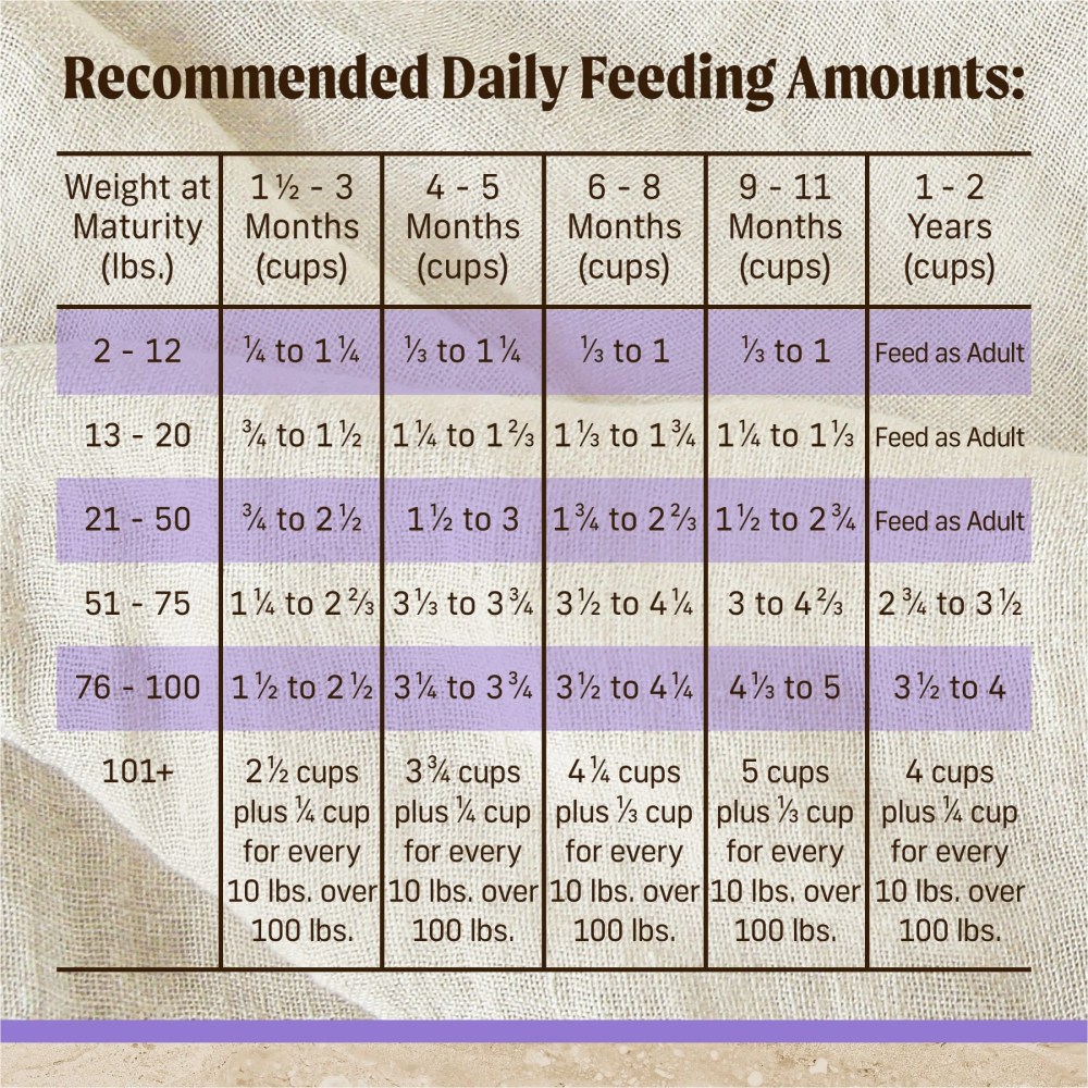 Merrick Chicken Dry Dog Food For Puppies, Whole Grain, 12 lb Bag - Image 10