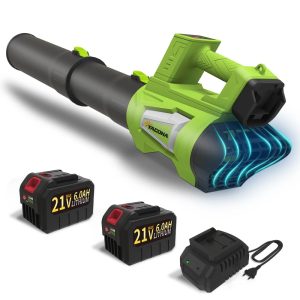 Yacona 21V Leaf Blower Cordless,with 2 x 6.0Ah Battery and Charger,21V Electric Leaf Blowers with Strap,6-Speed Powered Leaf Sweeper for Blowing Leaves,Lawn Care,Dust and Snow,Green