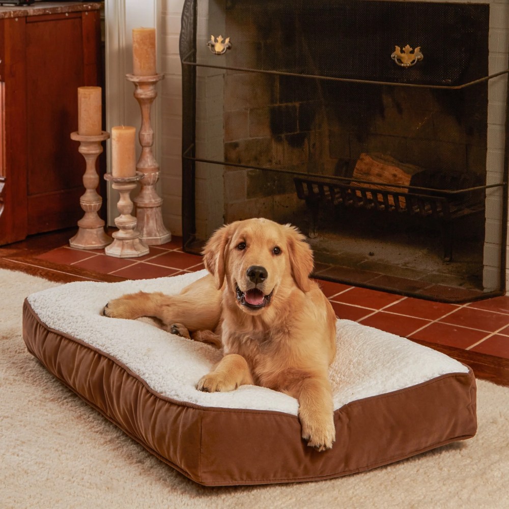 Happy Hounds Buster Sherpa Rectangle Pillow Style Dog Bed, Latte, Small (36 x 24 in.) - Image 2
