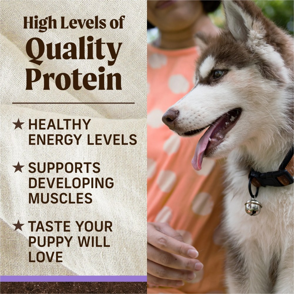 Merrick Grain-Free Puppy Dry Dog Food, High Protein Real Chicken & Sweet Potato, 22 lb Bag - Image 6
