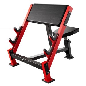 AOWINNOX Preacher Curl Bench, Tricep&Bicep Curl Machine, Arm Workout Equipment