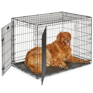 MidWest Homes for Pets 42-Inch Two-Door iCrate Folding Dog Crate with Divider Panel, Leak-Proof Tray & Secure Latches-Metal Wire Kennel for Large Breeds-Portable, Durable & Easy to Assemble