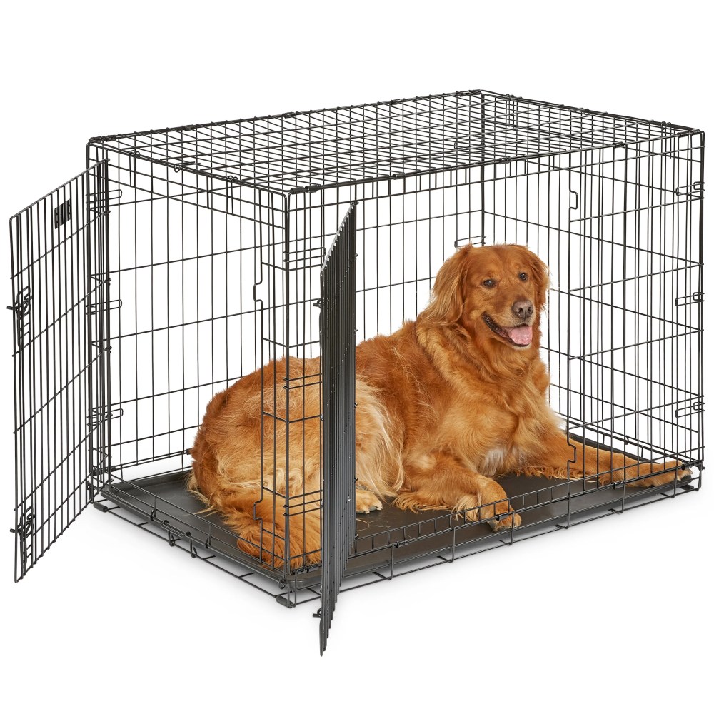 MidWest Homes for Pets 42-Inch Two-Door iCrate Folding Dog Crate with Divider Panel, Leak-Proof Tray & Secure Latches-Metal Wire Kennel for Large Breeds-Portable, Durable & Easy to Assemble