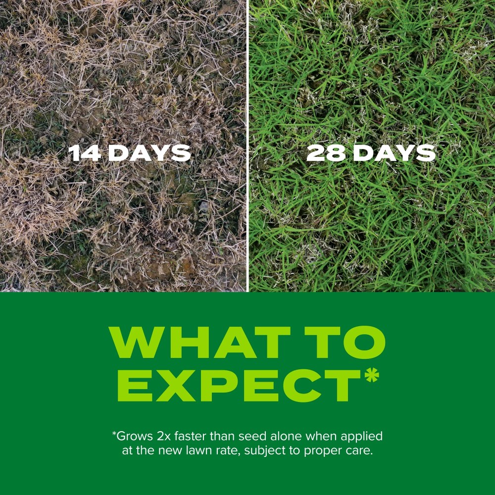 Scotts Turf Builder Rapid Grass Bermudagrass, Grass Seed and Fertilizer, 8 lbs. - Image 7