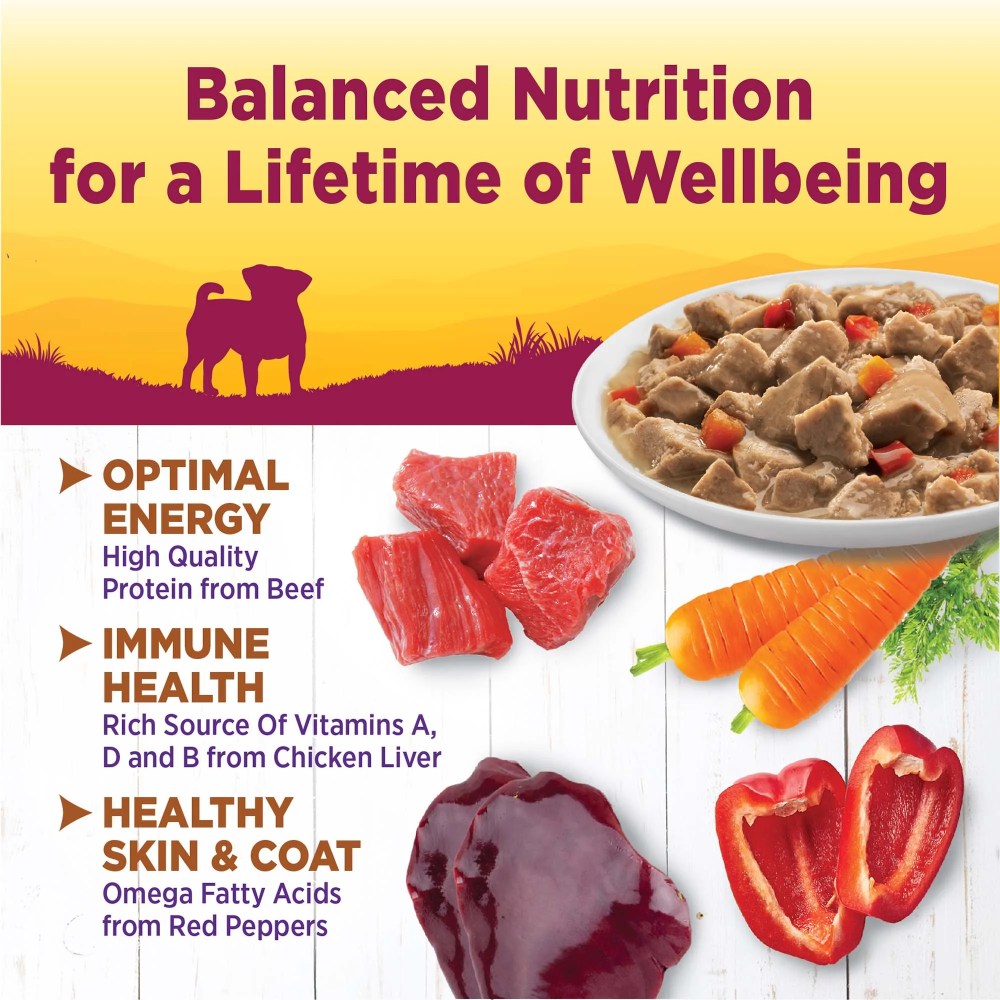 Wellness Petite Entres Mini Fillets Grain Free Natural Wet Small Breed Dog Food, Roasted Beef, Carrots - Image 7